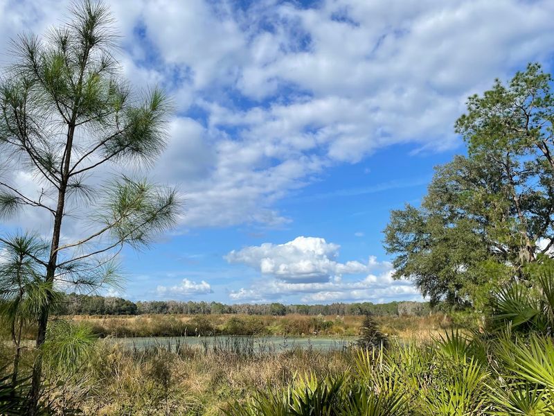Colt Creek State Park - Lakeland, Florida