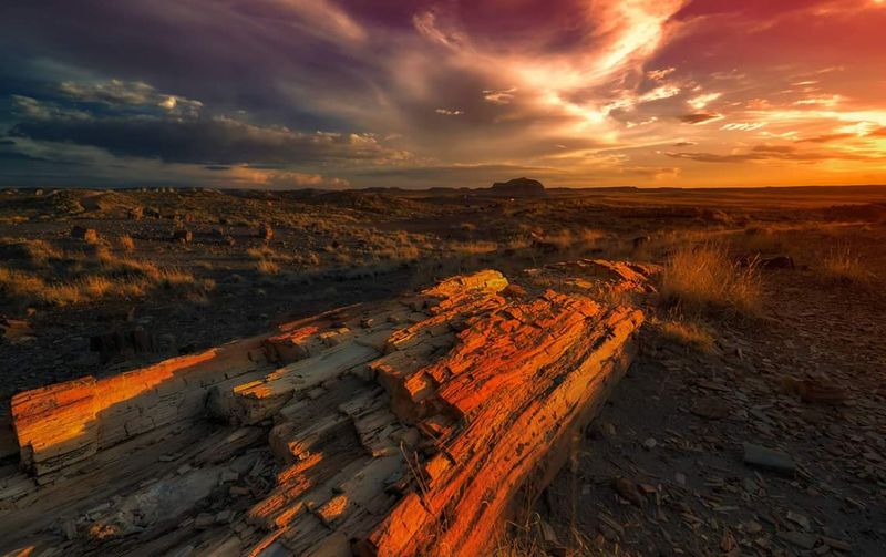 Petrified Forest National Park - Arizona