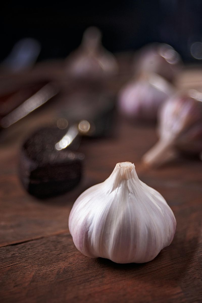 Garlic