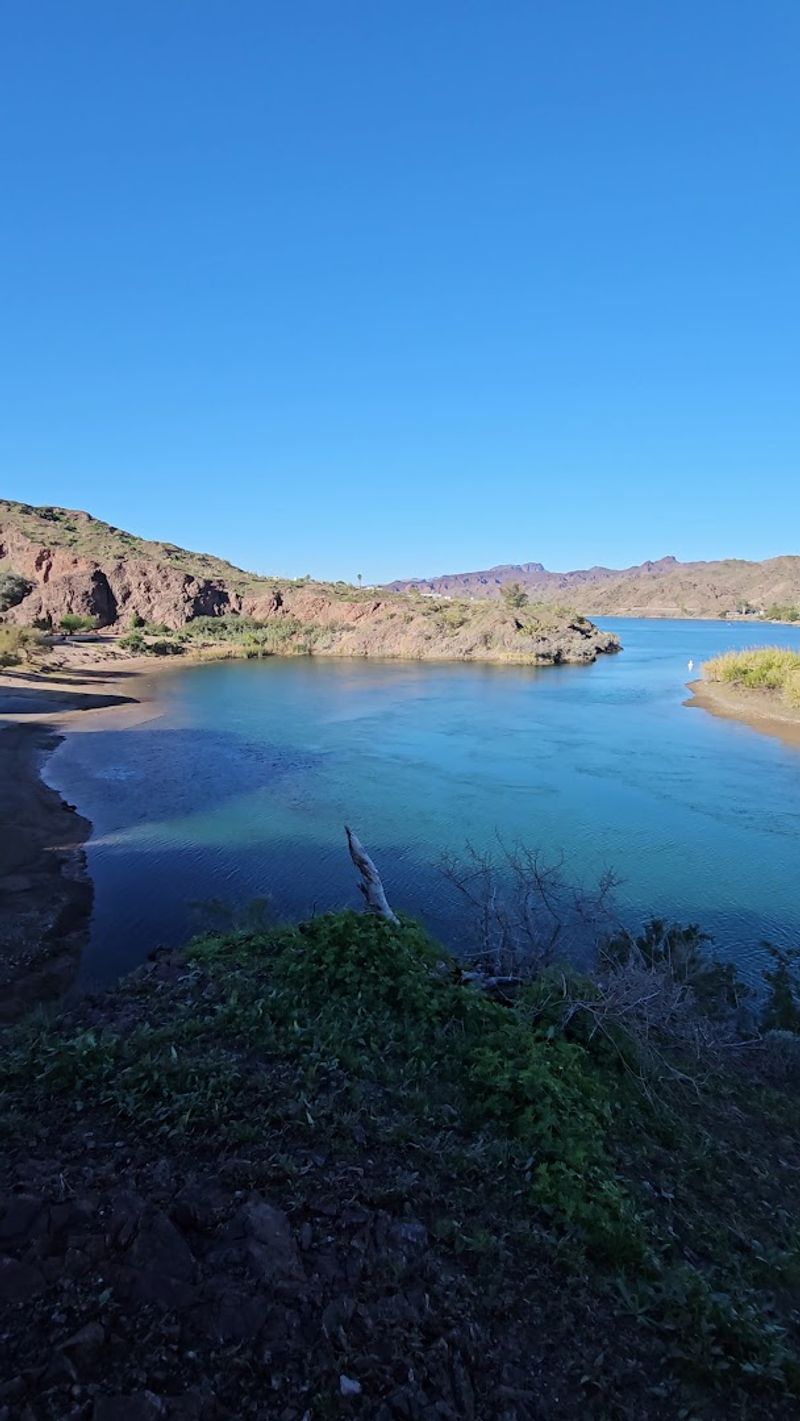 Wildlife, Fishing, and Nature Along the River