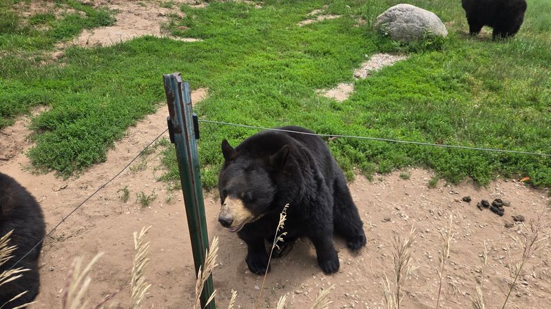 Why Road Trippers Keep Adding This to Their Route