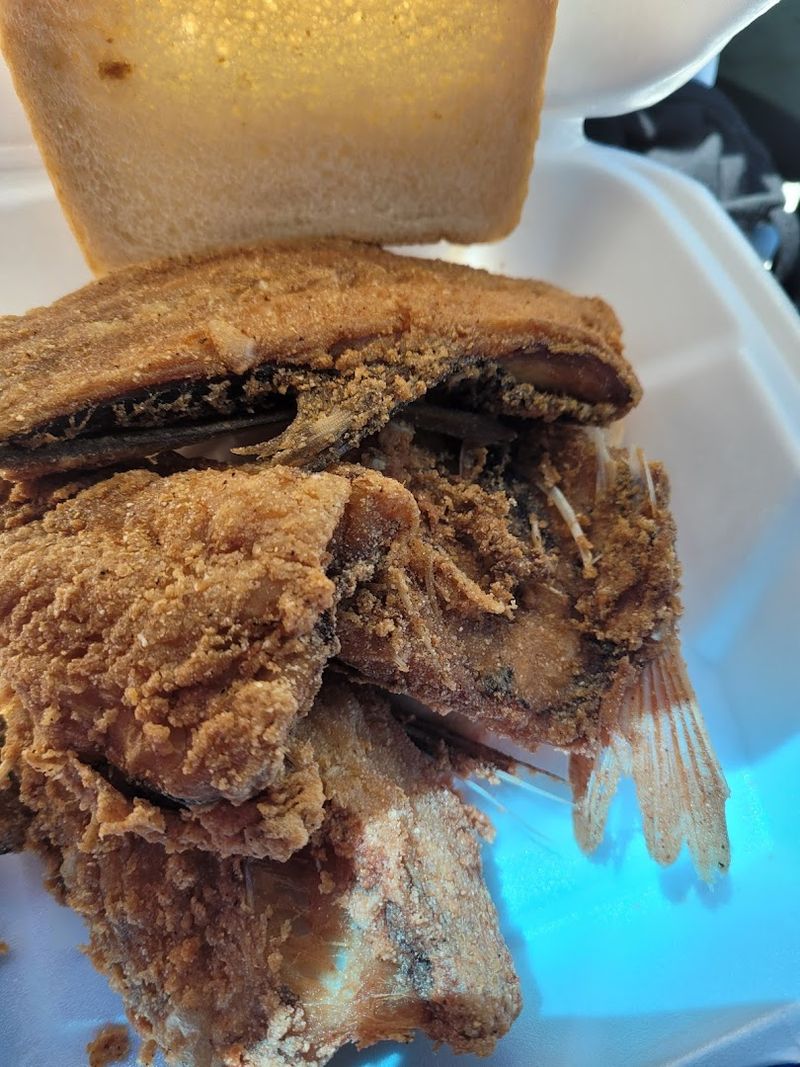 What Visitors from Across Florida Are Saying