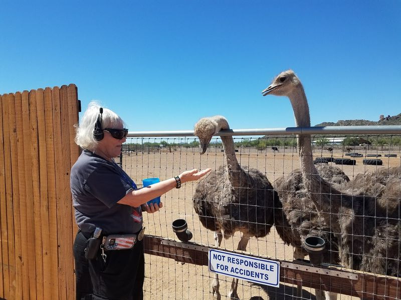 Unbeatable Value for the Whole Experience