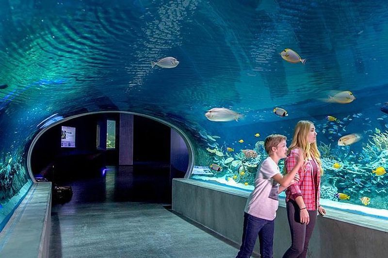 OdySea Aquarium - Scottsdale, Arizona