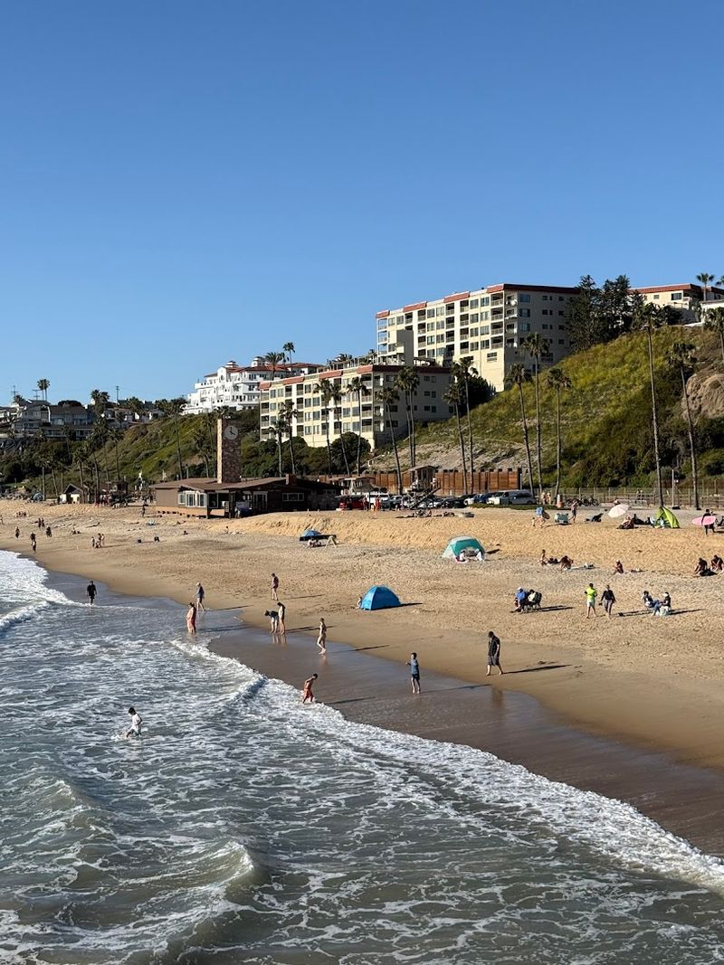 Surf Culture and Skate Heritage