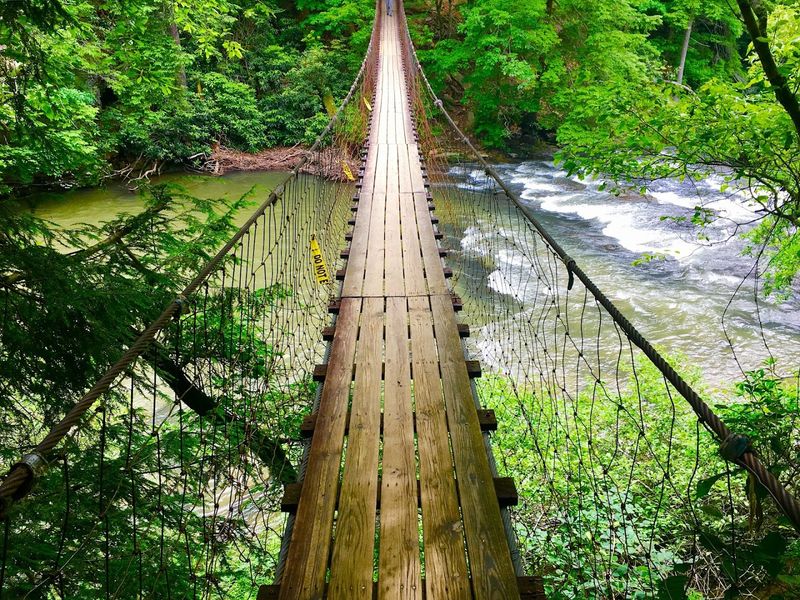 A Suspension Bridge That Steals the Show