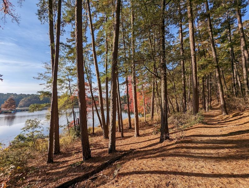 Hiking Trails Suited for Every Skill Level