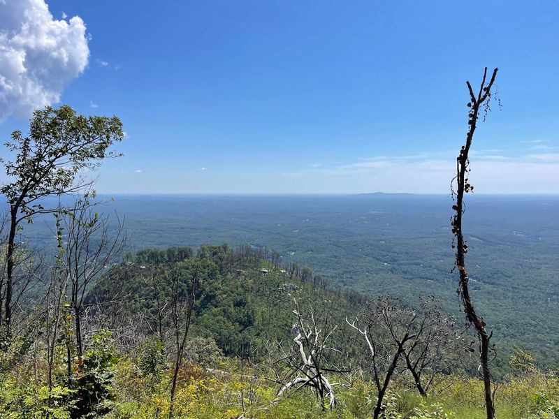 The Park's Resilience After Hurricane and Fire Damage