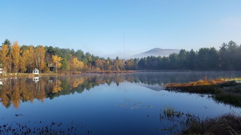 This Beautiful Mountain Town In New York Offers A Slower Pace Of Life 10 Incredible Wildlife Watching in a Protected Natural Habitat