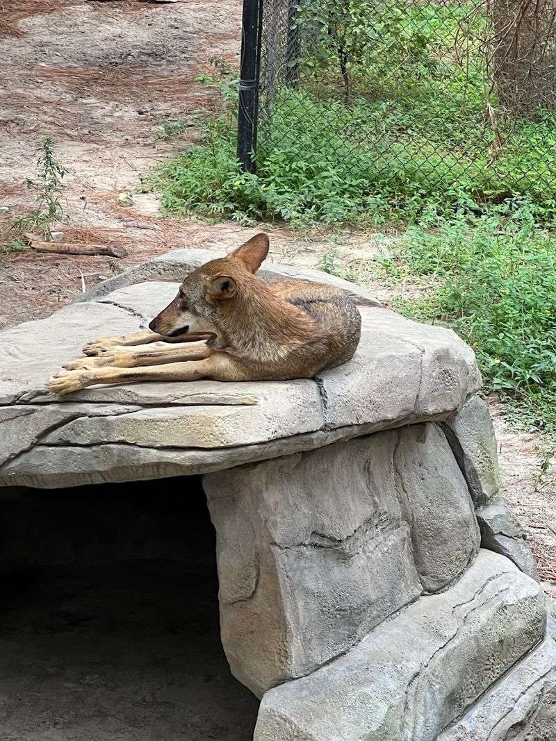 ZooTampa at Lowry Park - Tampa, Florida