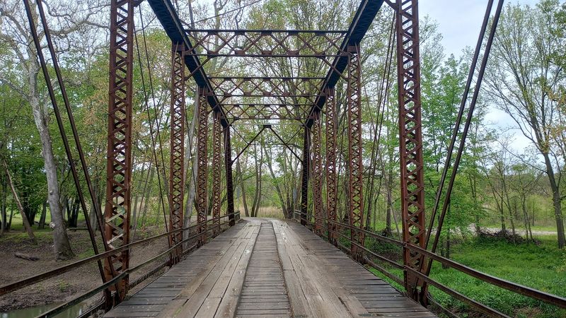 Photography Tips for the Best Shots