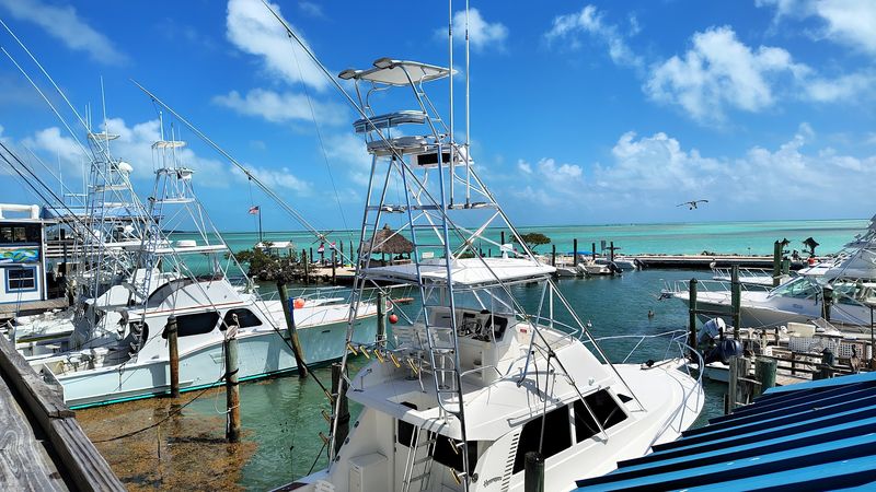 A Florida all-you-can-eat spot that's seriously worth the drive 12 Why This Buffet Belongs on Your Florida Keys Itinerary