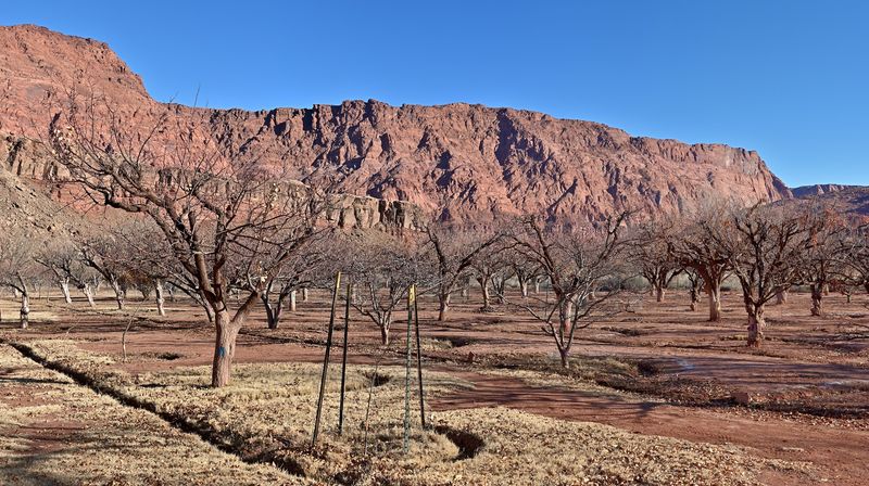 Best Times of Year to Visit