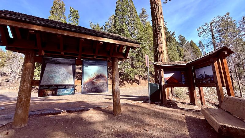 The Nearby Giant Forest Museum Is Worth a Stop