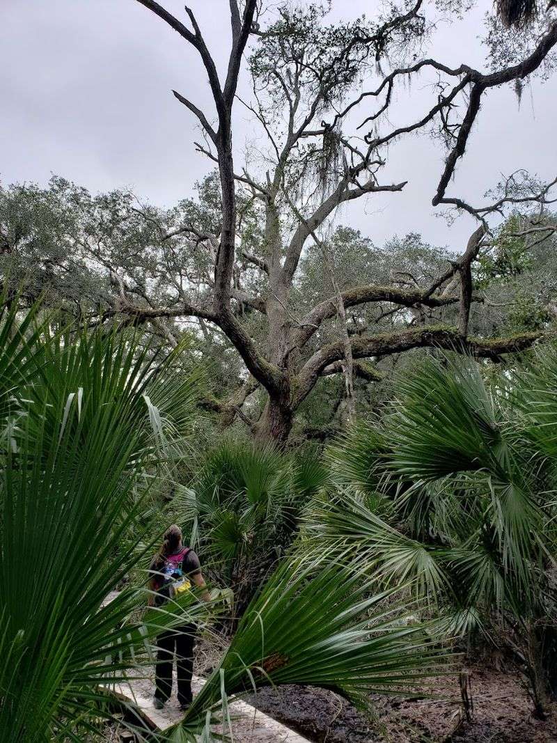 Muddy Patches and Seasonal Trail Conditions