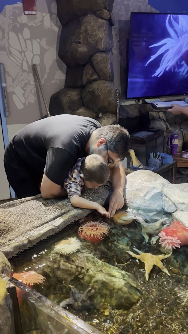 Explore the Touch Pool Experience