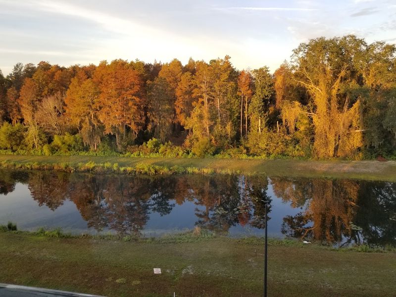 Natural Beauty That Feeds the Soul