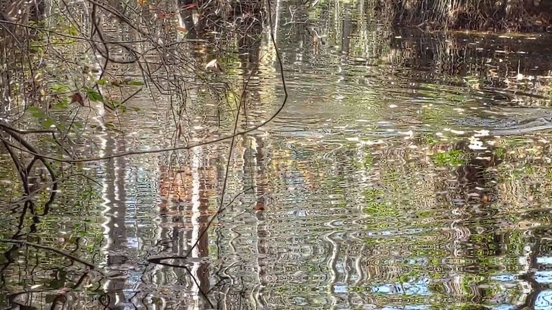 Fishing Opportunities in a Stunning Natural Setting