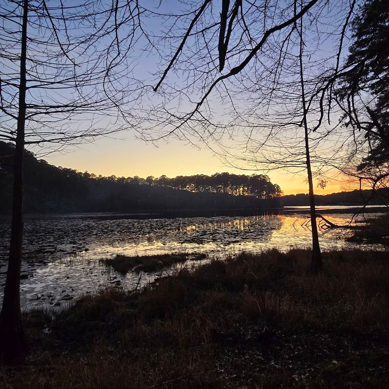 A hidden Texas state park filled with trails, trees, and hardly any crowds 13 Fall Foliage That Transforms the Whole Park