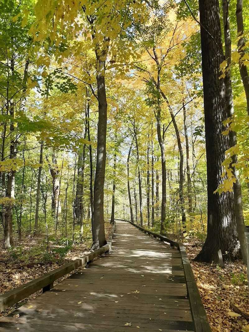 Peaceful Woodland Trails