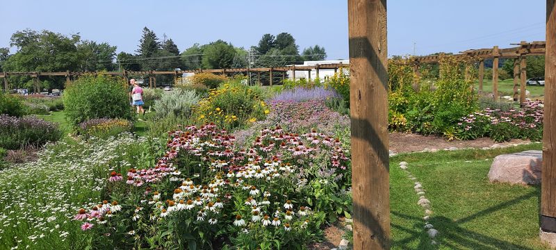 Herb Garden That Stole the Spotlight