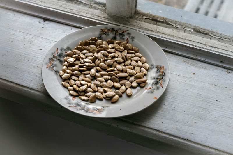 Pumpkin seeds