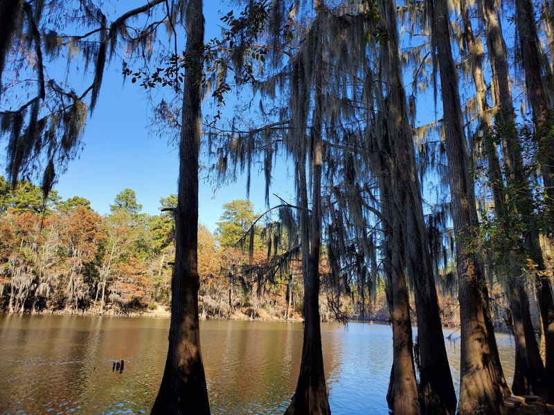 Caddo Lake State Park - Karnack, Texas