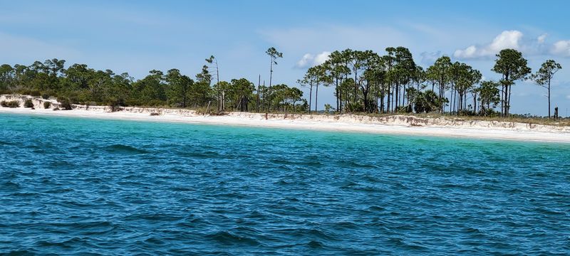 Grayton Beach State Park Serenity