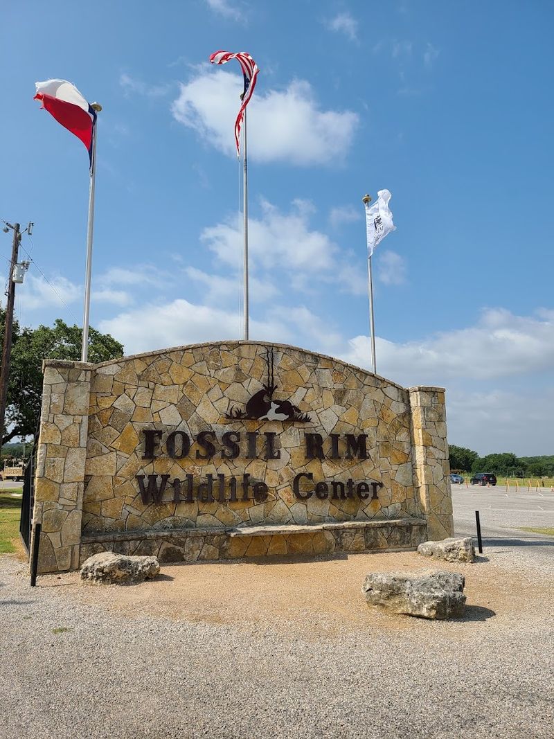 Practical Tips for Planning Your Visit