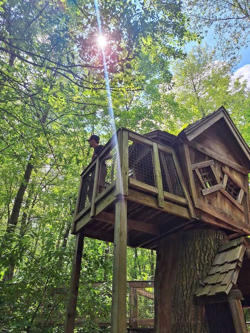 Perfect for Families with Young Children