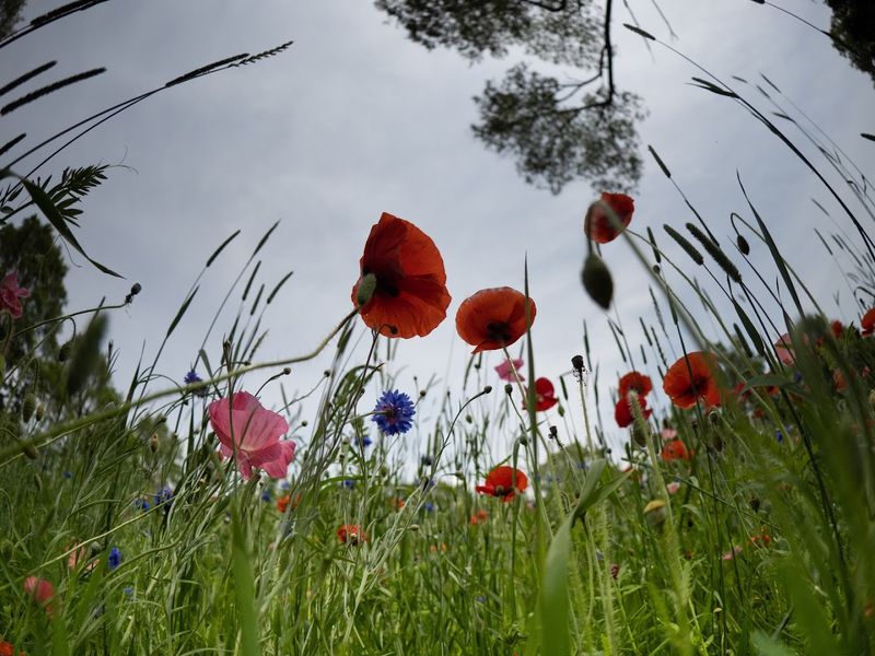 Photography Tips for Capturing That Painting-Like Shot