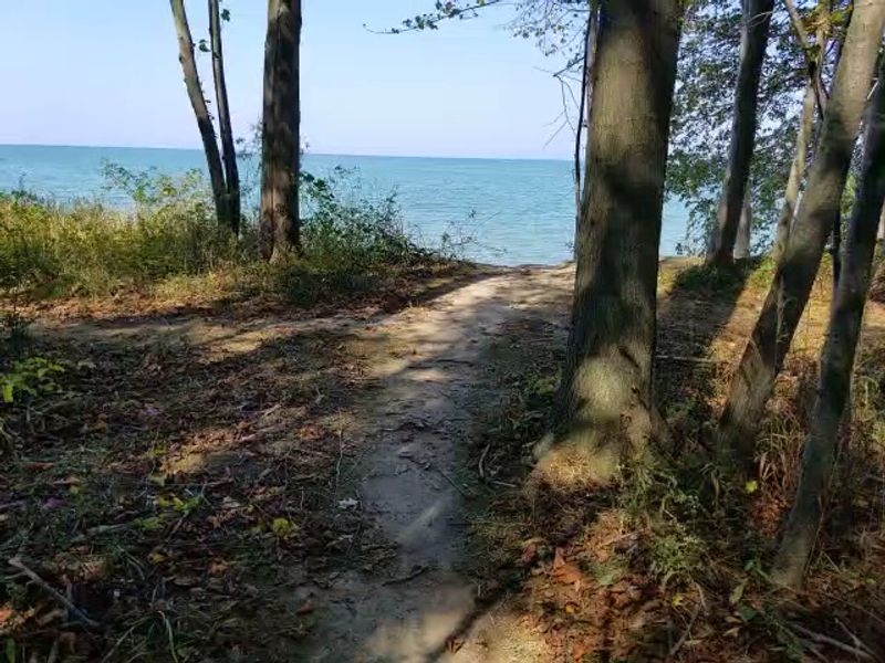 A Scenic Trail Leading to the Marina and Lodge