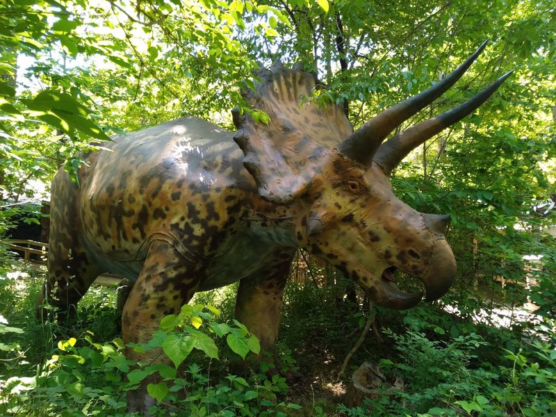 Picnic Areas That Turn Lunch Into a Prehistoric Feast