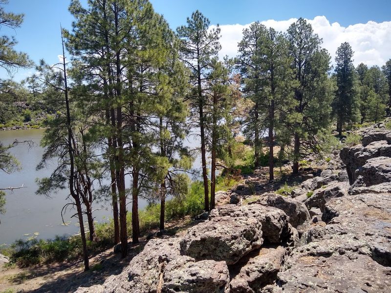 Hiking Trails That Reward Every Step