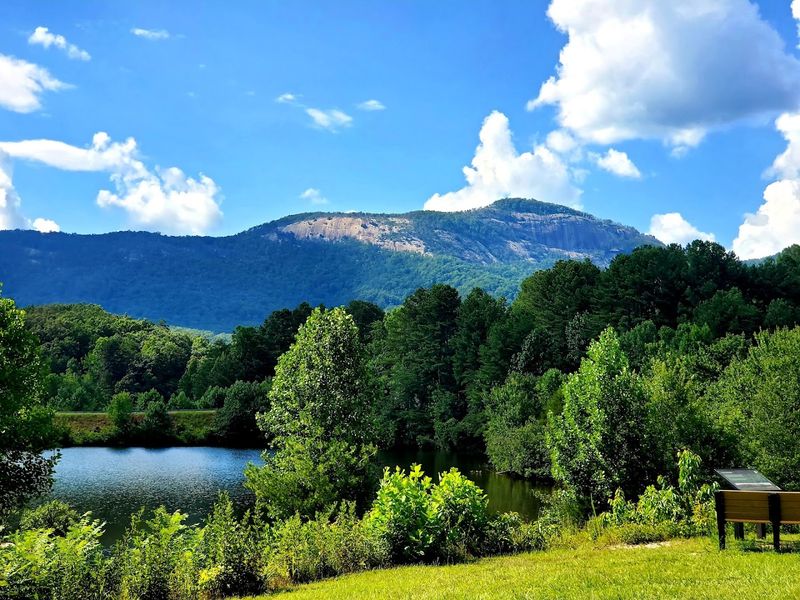 Picnic Areas and Family-Friendly Amenities