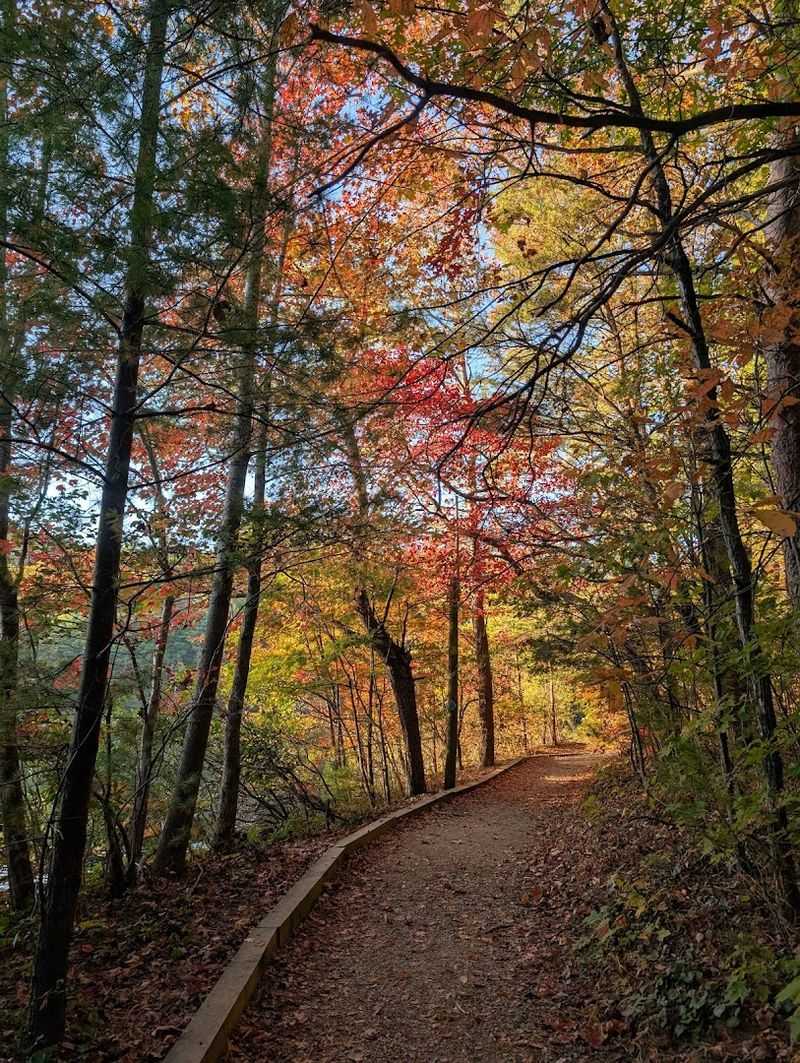 Accessible Trails and Cabin Options