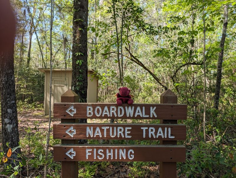 Fishing Opportunities at the Park