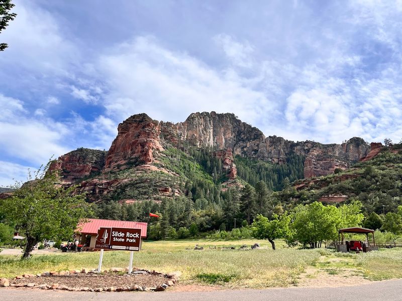 The small market and practical comforts