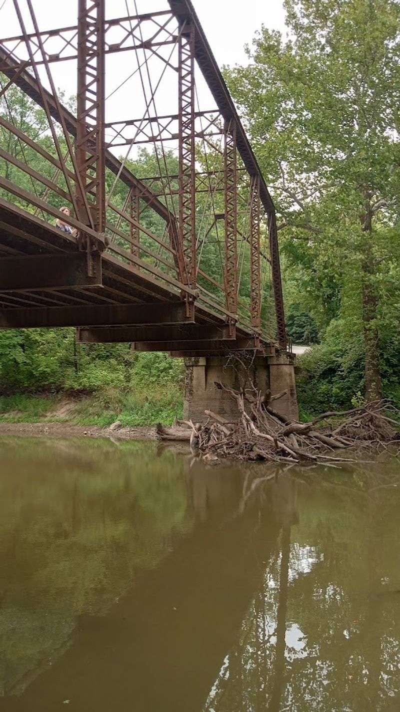 Wildlife You Might Spot on Your Visit