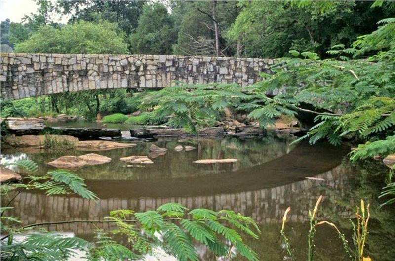 Wildlife, Native Plants, and Natural Beauty Along the Trails