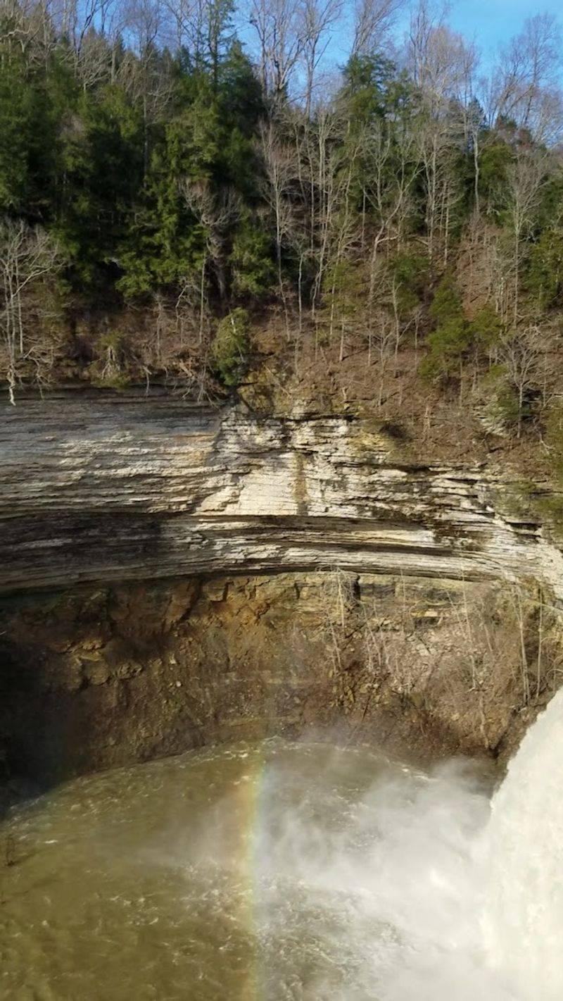 Photography Paradise: Capturing the Perfect Shot