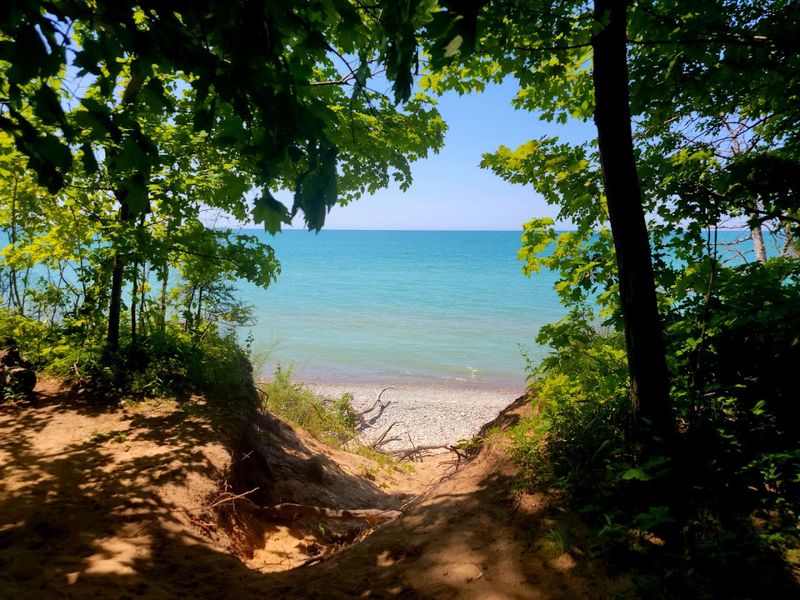 Picnicking and Relaxing in Nature