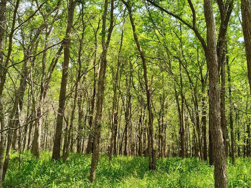 Year-Round Beauty That Changes With Every Season