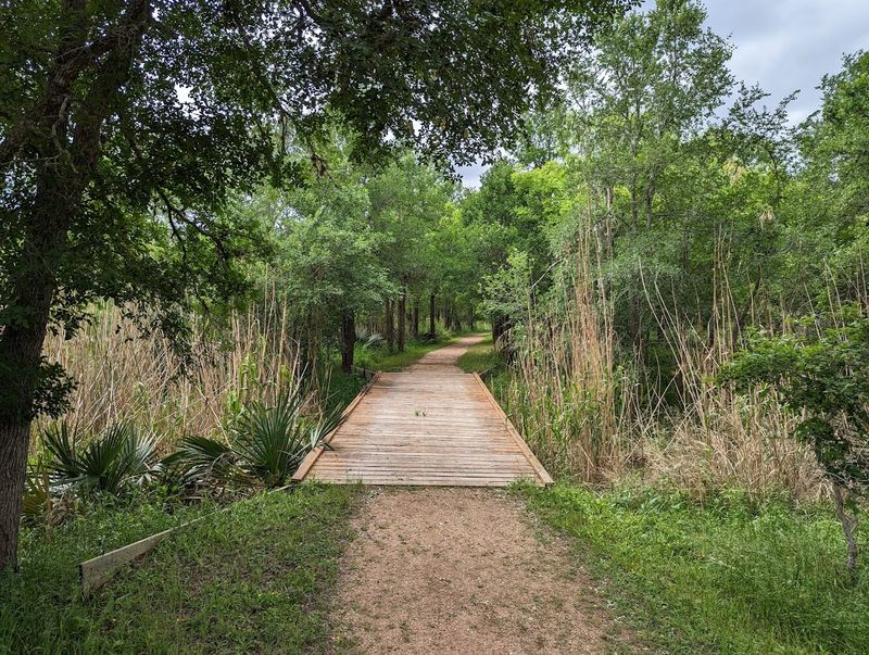 Biking Through Forest Trails That Welcome Riders of All Ages