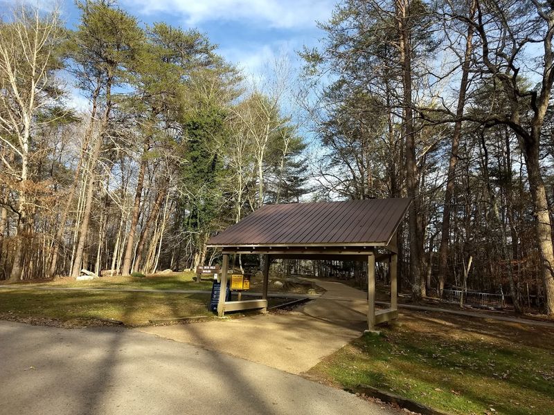 Year-Round Dining Options Right Inside the Park