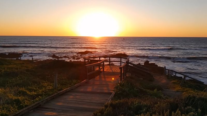 California Dog Beaches That Make Every Trip Better With Your Pup 14 Moonstone Beach Dr - Cambria, California