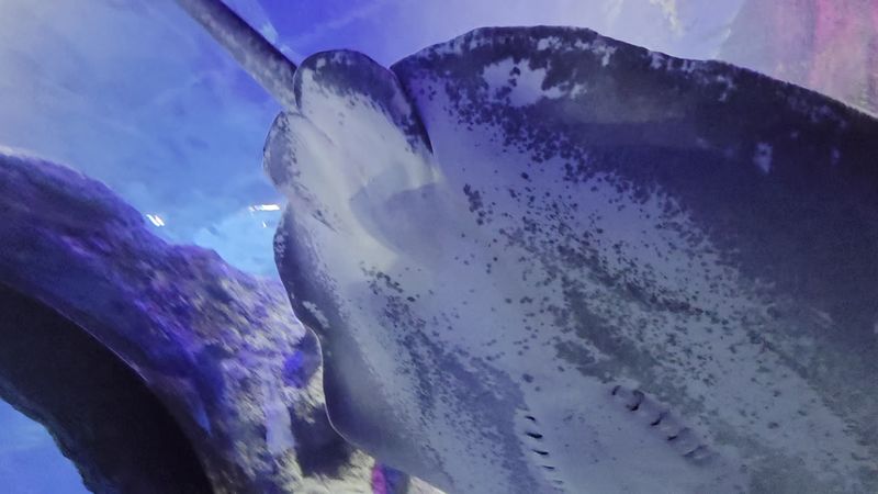 Slow Down for a Relaxing Date or Solo Visit