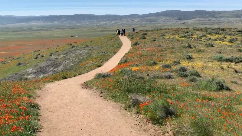 A Family-Friendly Outdoor Adventure Kids Will Remember