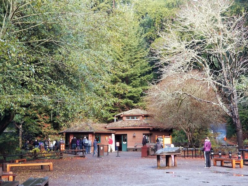 The Visitor Center, Gift Shop, and Cafe Worth Knowing About