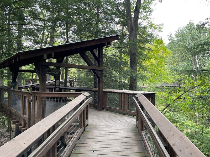 Why Visitors Keep Coming Back